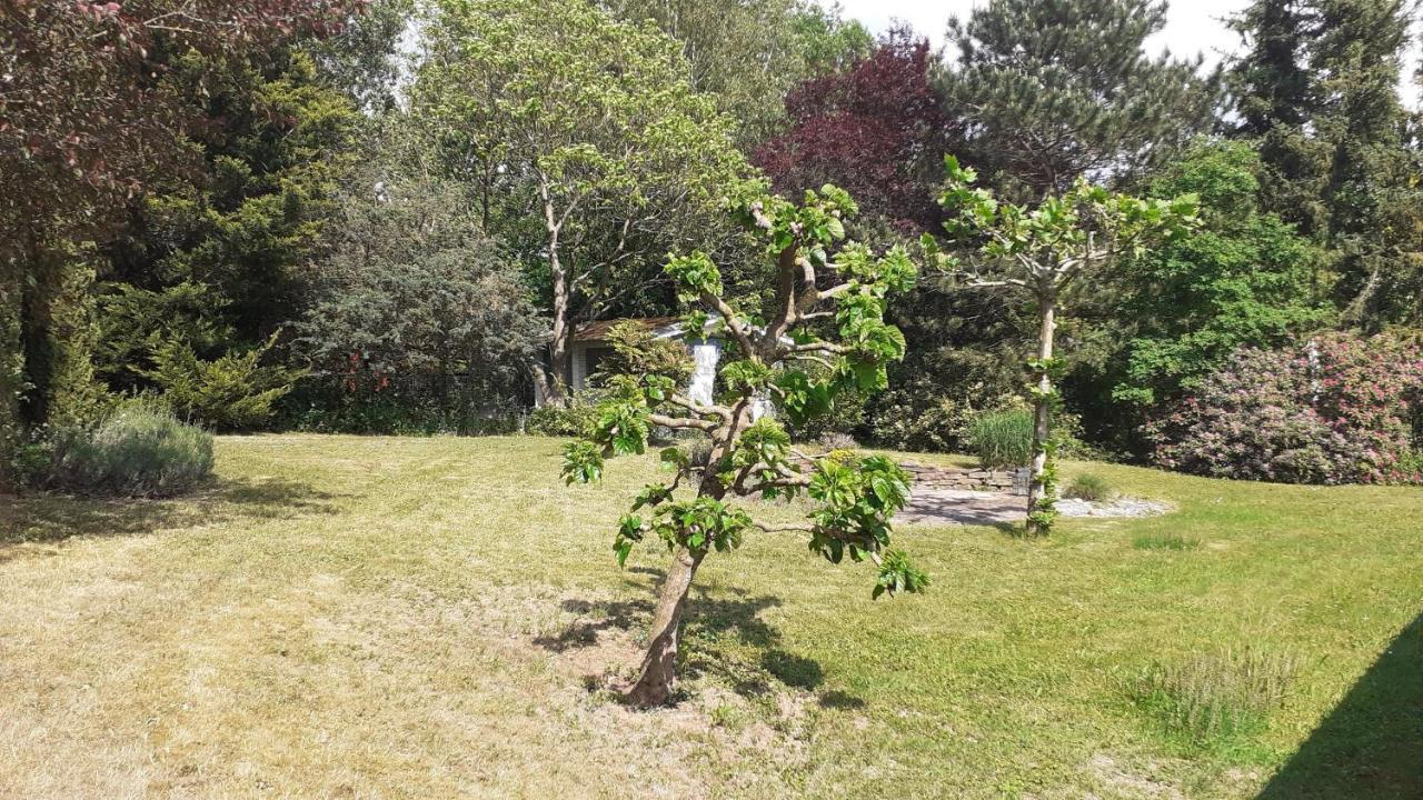 Ferienhaus Province Oberemmel Exteriör bild