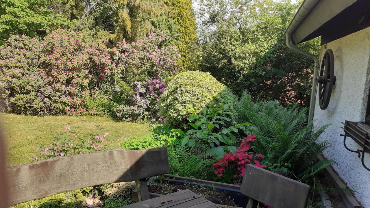 Ferienhaus Province Oberemmel Exteriör bild